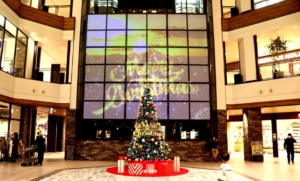 女優・かでなれおんさんがデザイン！横須賀にクリスマス限定の巨大なプロジェクションマッピングが登場！