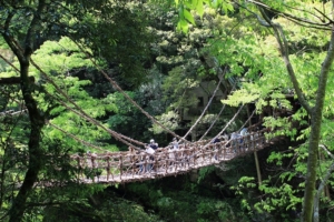 日本三大秘境徳島・祖谷にある日本三奇橋の「祖谷のかずら橋」を詳細レポート!【祖谷観光レポート・前編】