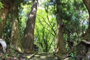 日本三大秘境徳島・祖谷に伝わる平家落人伝説とは?観光ガイドには載らないレアスポットもご紹介!【祖谷観光レポート・後編】