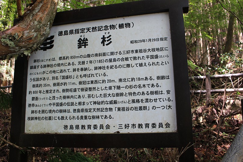 日本三大秘境徳島・祖谷に伝わる平家落人伝説とは？観光ガイドには載らないレアスポットもご紹介！【祖谷観光レポート・後編】 | ［楽活］rakukatsu  - 日々楽シイ生活ヲ