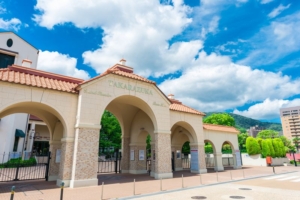 【宝塚歌劇の基本のキ！】宝塚ってどんなところ？初心者向けの入門情報やお家で公演を楽しむ方法を詳細解説！