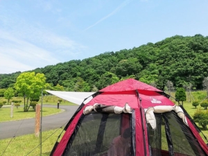 ワンタッチテントは女性でも本当にワンタッチで設営可能なのか試してみました！