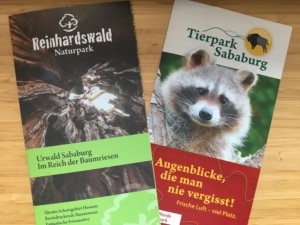 ドイツの古代の森を歩く!「ザバブルク自然動物公園」と「ザバブルク原生林」訪問レポート
