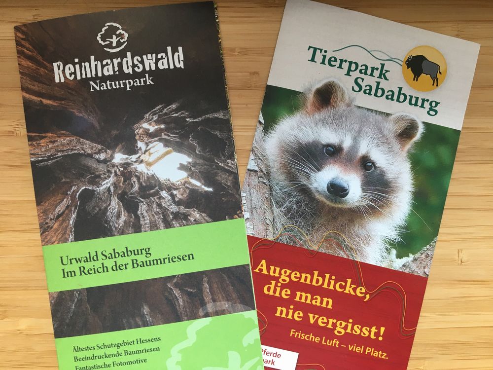 ドイツの古代の森を歩く！「ザバブルク自然動物公園」と「ザバブルク原生林」訪問レポート