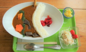 ダムの聖地群馬!奥利根にそびえる3大ダムの絶景と絶品魅惑のダムカレーを楽しむ