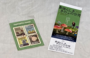 映画「素晴らしき、きのこの世界」はきのこ愛に満ちたきのこ映画！きのこの生き様に魅せられた人間たちが送るメッセージとは？！