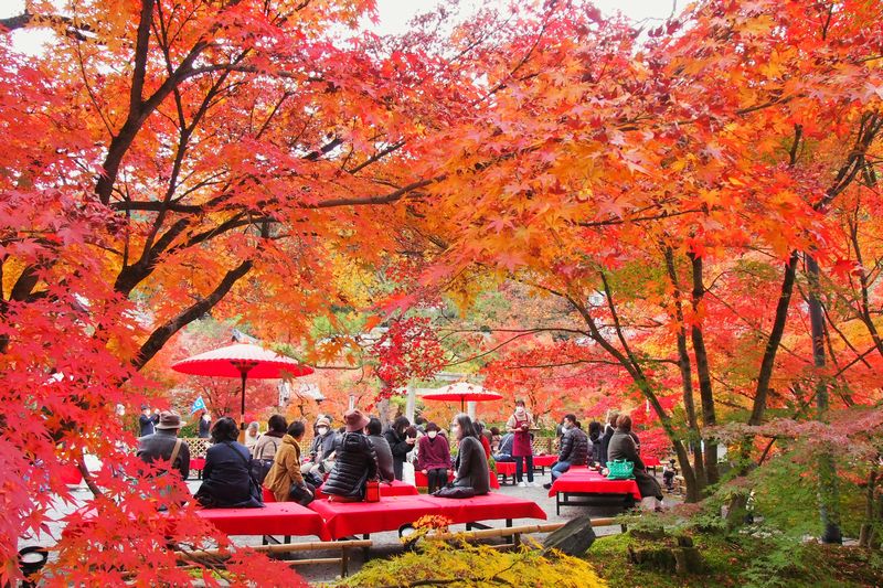秋の京都で紅葉狩り！南禅寺・永観堂から慈照寺（銀閣寺）絶景お散歩コースをご紹介！