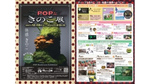 この冬「POPなきのこ展」が開催!パワーアップして帰ってきた展示の楽しみ方をきのこライターが徹底解説します!
