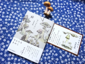 「きのこ心が湧くね」作家・高原英理による、奇想のきのこ文学『日々のきのこ』40年の時間を経て生える!