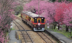わたらせ渓谷鉄道で自然・歴史・グルメめぐり!情緒あふれるローカル線沿線への小旅行はいかが?