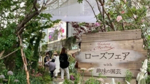 「ローズフェア with 趣味の園芸」がスタート!横浜市役所がバラで包まれる5日間!【5/16まで】【ガーデンネックレス横浜2022】