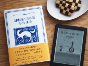 ファンタジーは小さい声で始まる。小川洋子さんの小説・エッセイ集おすすめ5選