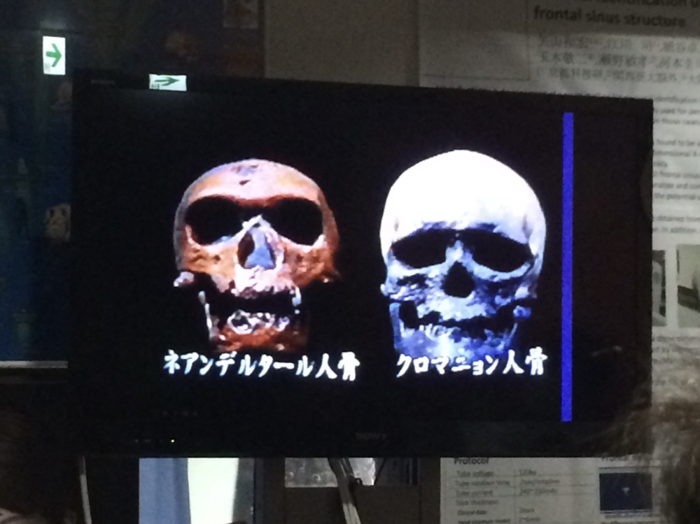 顔面学講座 日本人のルーツを探る 縄文人の顔と弥生人の顔 そして 青谷弥生人の顔 楽活 Rakukatsu 日々楽シイ生活ヲ