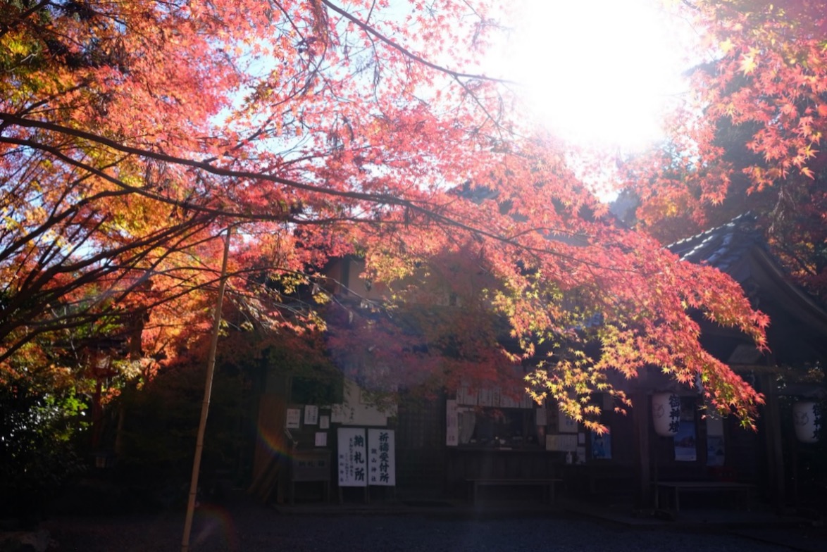 京都の紅葉をディープに探る！　亀岡市・鍬山神社の紅葉で癒される