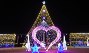 群馬と近郊で煌めく冬のファンタジー！イルミネーション・ライトアップを見に行こう