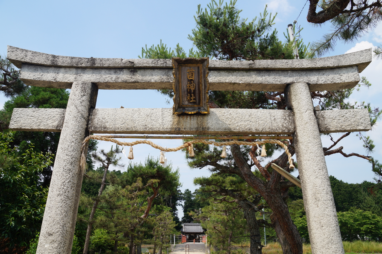 滋賀県には日本唯一のきのこの神社があった！　菌（くさびら）神社