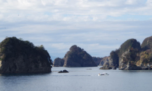 地球の息吹を感じる伊豆半島の絶景と、グルメをめぐる癒し旅!