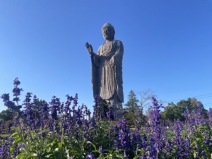 【世界ギネス認定】巨大な牛久大仏の胎内参拝