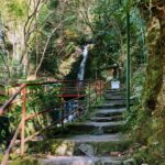 湯河原ワイド劇場PartⅡ~不動滝、創造の感性をはぐくむ水~水の視点から見る湯河原
