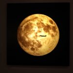 そごう美術館で開催!星空が壮大な感動を呼ぶ「天空の贈り物」展