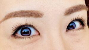【顔面学講座㉙】 人間にとって眉毛とは何か?眉の誕生から最先端の眉毛事情まで
