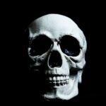 【顔面学講座㉞】 人類の忌まわしき黒歴史「骨相学」。科学を盲信することの危険性
