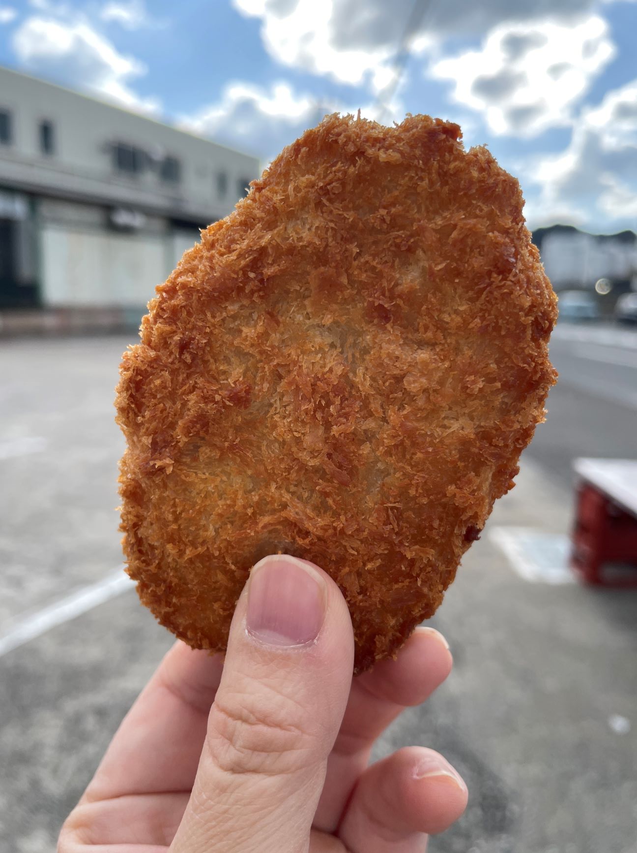 【横須賀穴場グルメ】激安フライが食べられる直売所