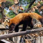 時を駆ける野毛山探訪PartⅡ～野毛山動物園