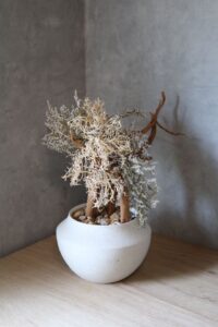 画像に alt 属性が指定されていません。ファイル名: JB06o9t0-2.jpeg